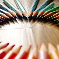 LSE-shwetangi-gupta-474521