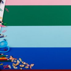 unesco program participacije